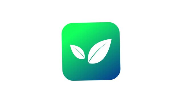 simple leaf icon 4k animation