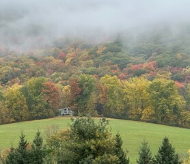 Obraz premium Morning Mist By the Mountain