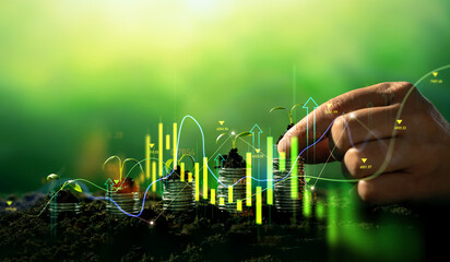 Growing money,finance and investment. Seedling are growing with business arrow of growth.Young...