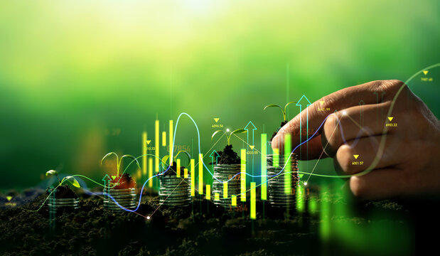Growing money,finance and investment. Seedling are growing with business arrow of growth.Young plants on coin stacks  increase. Concept of business growth,profit, development and success. 