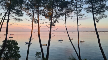Coucher de soleil rosé sur le bassin d'Arcachon depuis la pinède au-dessus de la plage des Jacquets (presqu'île du Cap Ferret) © Arnaud