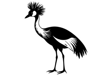 Fototapeta premium Grey crowned crane balearica regulorum gibbericeps vector illustration