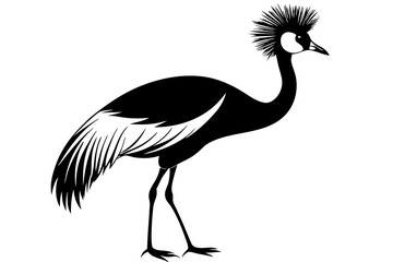 Grey crowned crane balearica regulorum gibbericeps vector illustration