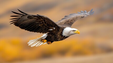 Fototapeta premium Bald Eagle Soaring Over Majestic Mountain Range
