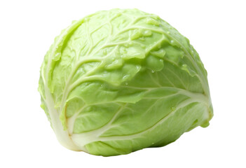 Fototapeta premium cabbage isolated on white background