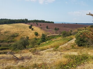 Paysage de landes sur la corniche du Vivarais © Arnaud
