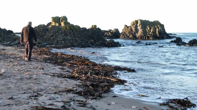Middle aged man, grey hair, dark clothing walk sea edge beach Ballintoy Northern Ireland Causeway Coast looking at seaweed shoreline, bright sunny winter day, active lifestyle travel tourism