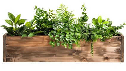 Fototapeta premium Wooden planter box filled with various green plants on a transparent background.