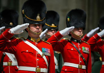 Dane soldiers giving salute during ceremony military, glory and honor, dignified military uniform