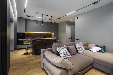 Trendy renovation of kitchen and living room interior with gray wall, sofa, kitchen island.