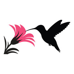 Obraz premium Black hummingbird vector silhouette