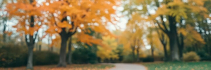 Blurred background of autumn park with vibrant orange and yellow leaves on trees and soft focus, trees, yellow