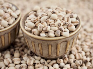 율무, 음식재료, 유기농
