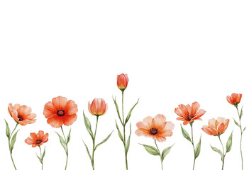 Naklejka premium red tulips isolated on white