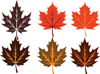 Fototapeta premium Vector Icon Set of Maple Leaves in Autumn Colors on White Background