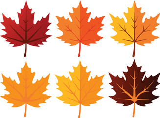 Vector Icon Set of Maple Leaves in Autumn Colors on White Background
