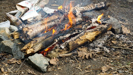 Rustic Campfire with Burning Wood in the Wilderness