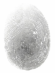 one black fingerprint isolated on white background