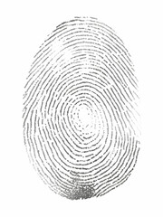 one black fingerprint isolated on white background