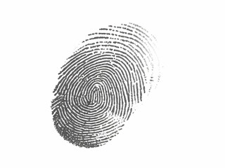 one black fingerprint isolated on white background