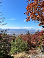 Vibrant Autumn Vista with Red Leaves and Mountain Views