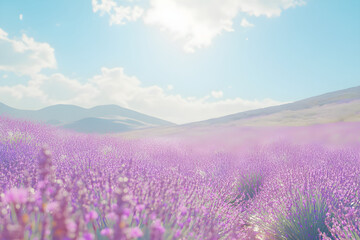 Naklejka premium Lavender field with mountains in background under a bright, sunny sky, nature scene 