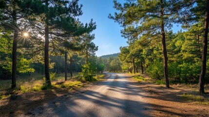 Obraz premium A serene dirt road winding through a lush forest under a clear blue sky.