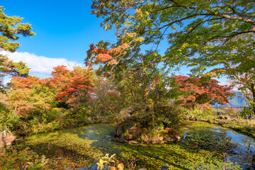 Obraz premium 群馬県渋川市 伊香保温泉、ハワイ王国公使別邸 日本庭園