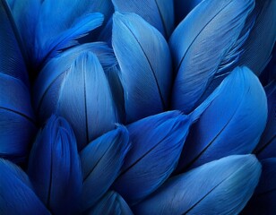 Ranquil Blue Aesthetic Wallpaper