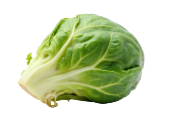 cabbage isolated on white background