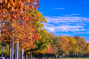 Obraz premium Riehen, Switzerland, is stunning in autumn, with vibrant foliage turning parks, woodlands, and riverbanks into a colorful display. A perfect time for scenic walks and photography.