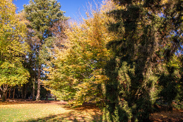 Riehen, Switzerland, is stunning in autumn, with vibrant foliage turning parks, woodlands, and riverbanks into a colorful display. A perfect time for scenic walks and photography.