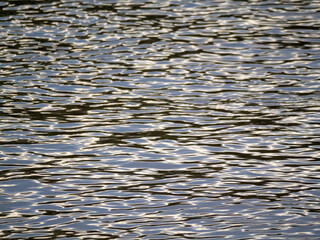 The water surface of the Amazon is very suitable as a background image.