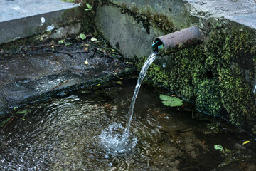 Spring Water Source. Fresh cold natural spring water from a spring with a pipe.