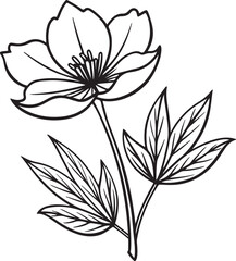 Black line art of a flower for kids coloring book coloring page doodle art in white background
