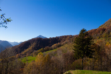 collina autunnale