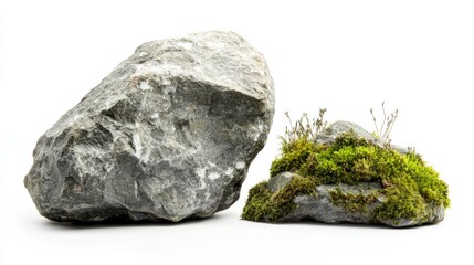 Fototapeta premium different types of stones with green moss isolated on white