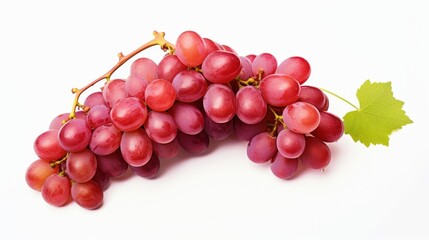 Fototapeta premium Ripe beautiful blue or pink grapes on a white background.