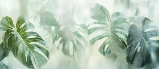 Blurry monstera leaves seen through frosted glass window creating a soft green background ambiance