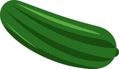 Cucumber icon vector on white background