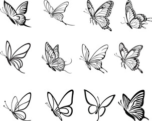 
Black line art of a butterfly bundle for kids coloring book coloring page doodle art in white background