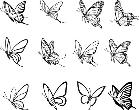 
Black line art of a butterfly bundle for kids coloring book coloring page doodle art in white background