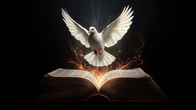 White dove flying above open bible with glowing sparkles emitting from pages