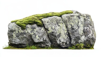 green mossy stone isolated on white