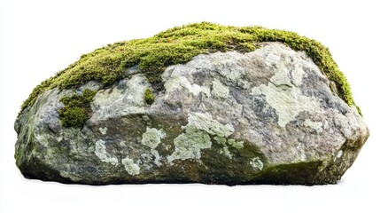 Fototapeta premium stone with green moss isolated on white