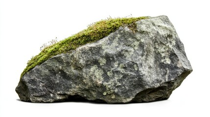 Fototapeta premium Green moss on stone, isolated on white background 