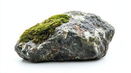 Fototapeta premium Green moss on stone, isolated on white background 
