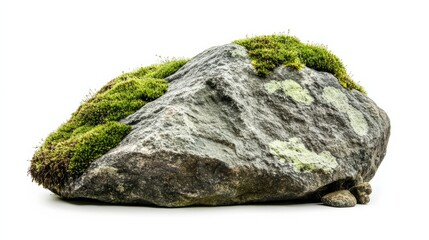 Green moss on stone, isolated on white background
