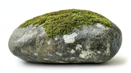 Fototapeta premium stone with green moss isolated on white