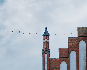 Fototapeta premium Birds Flying Over Historic Church Tower